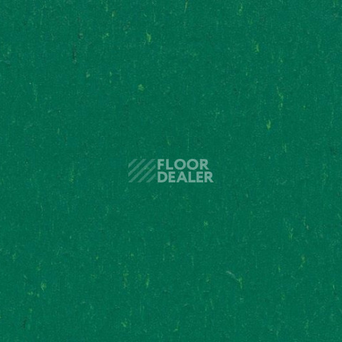 Линолеум Forbo Marmoleum Decibel on Order 364935 greenwood фото 1 | FLOORDEALER